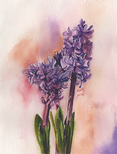 hyacinth